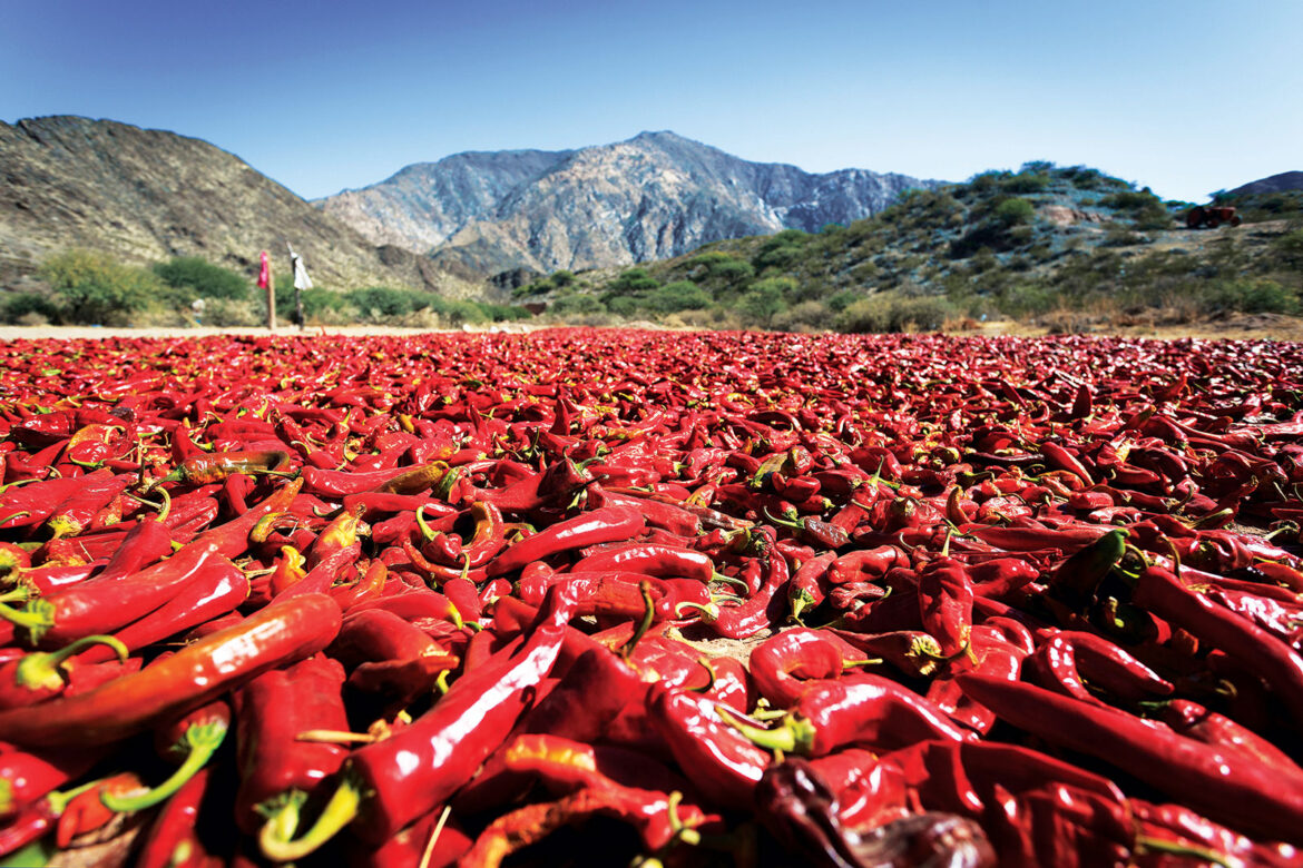 Pepper-drying-in-the-mountain-village-Cach1