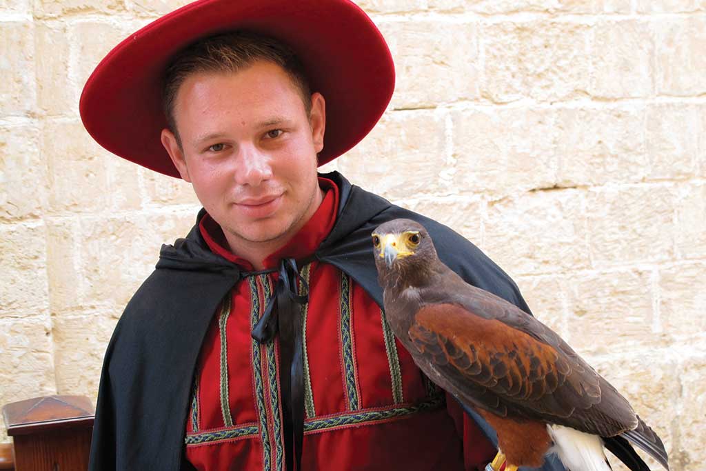Man with Falcon Medieval Reenactment Day in Mdina Malta