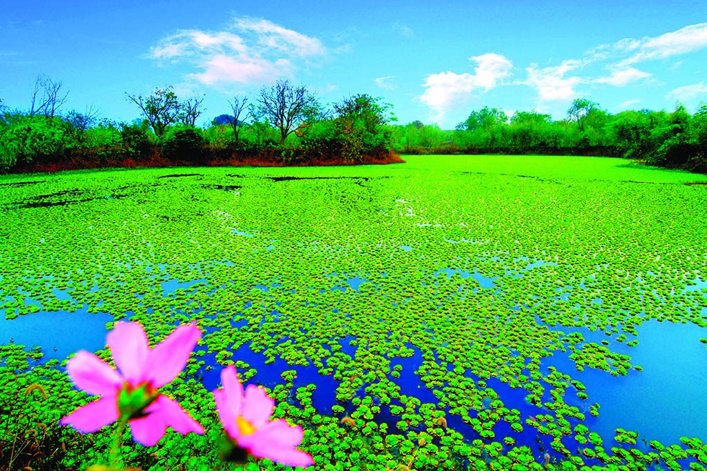 Xixi Wetlands Park, Hangzhou
