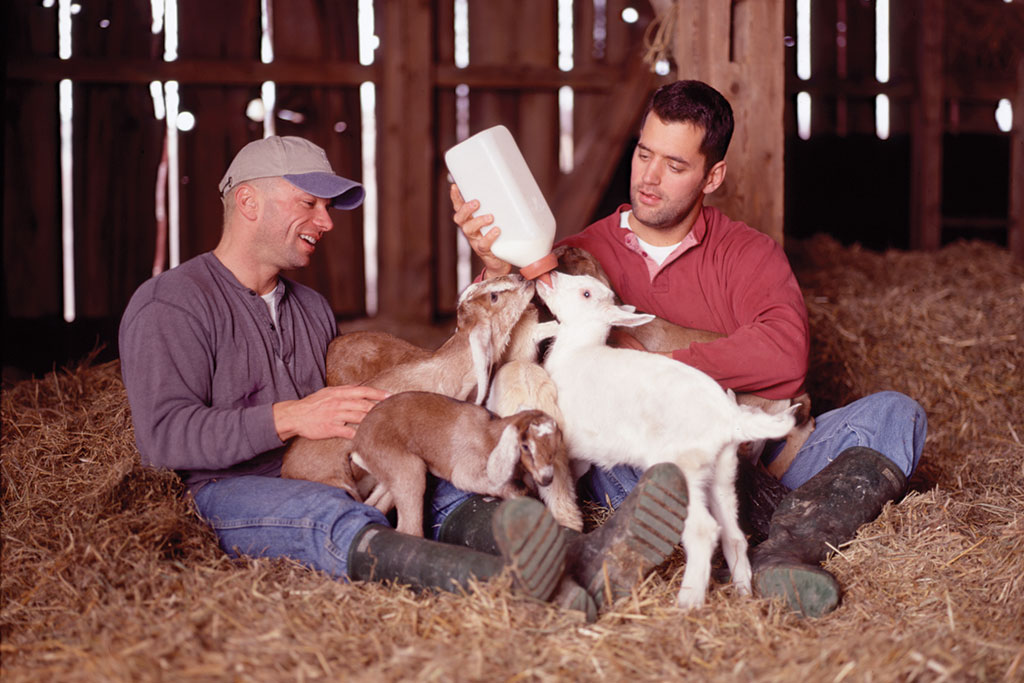 Mike and Pablo with their Goats at FireFly Farms