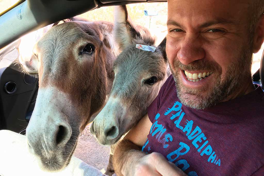 Jason and Friends- a wild donkey attack in Oatman, Arizona