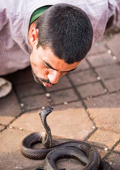 Snake Charmer in the Jemaa el Fnaa