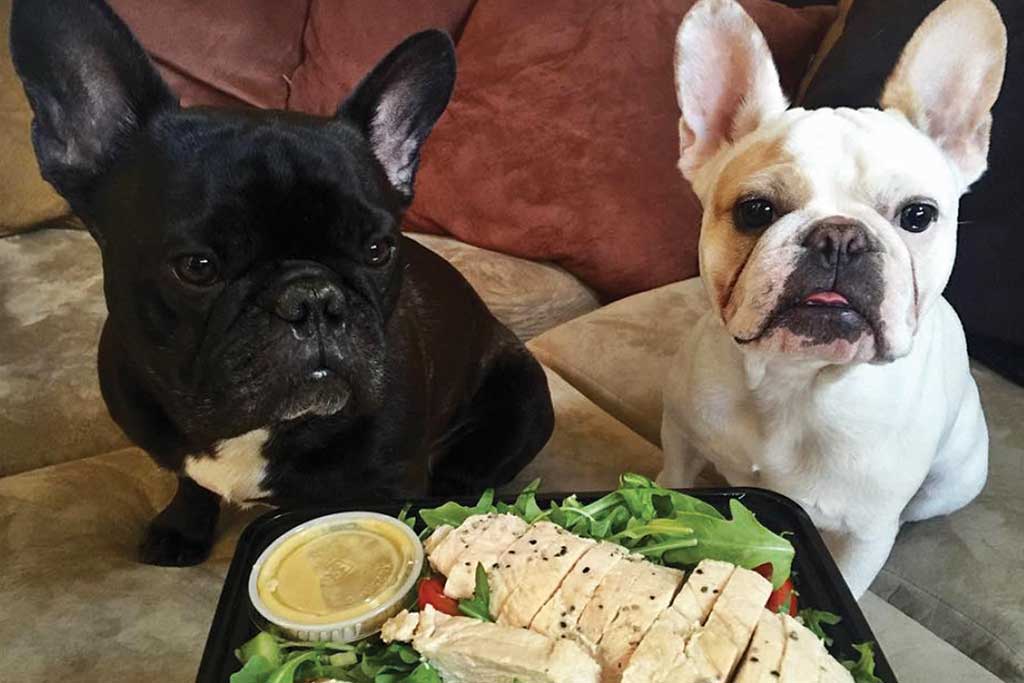 MealPrepology Clients’ Dogs