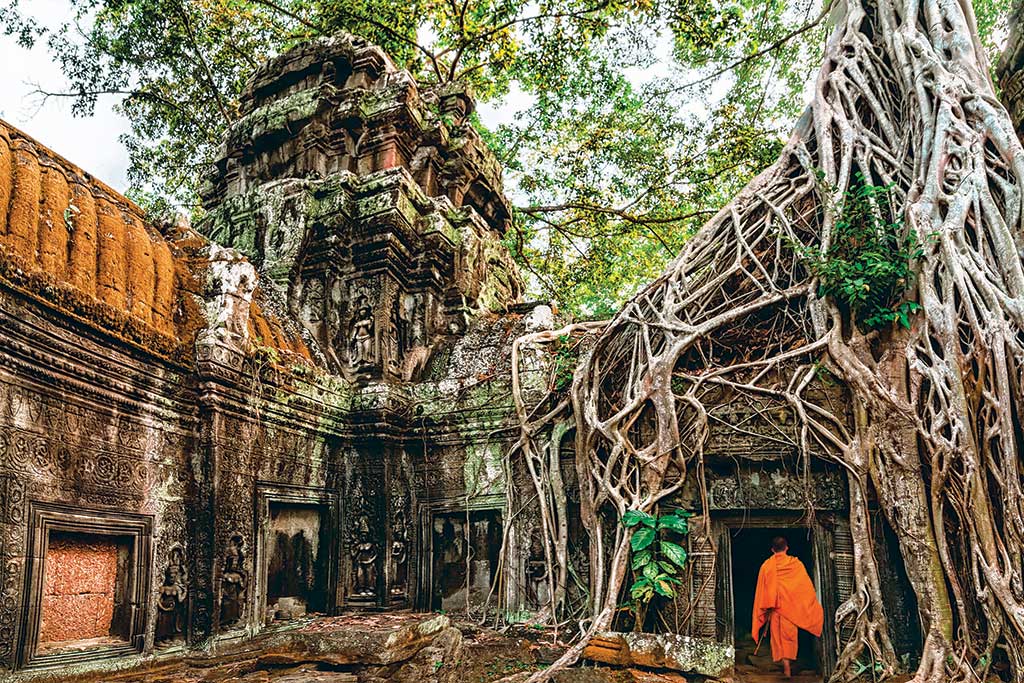 Ta Prohm Temple in Angkor