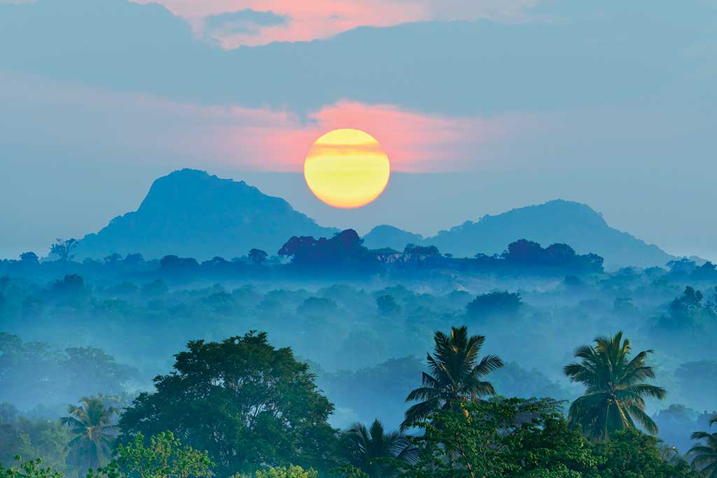 Jungle Sunrise in Sri Lanka