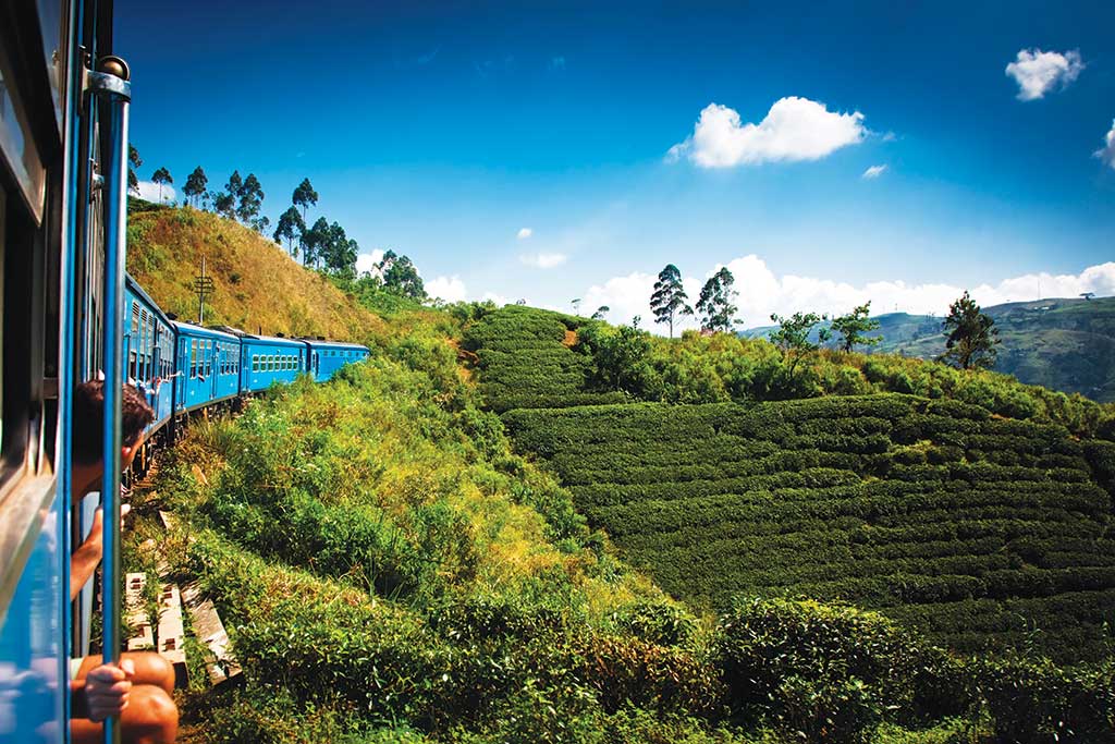 Train from Nuwara Eliya to Kandy among Tea Plantations 