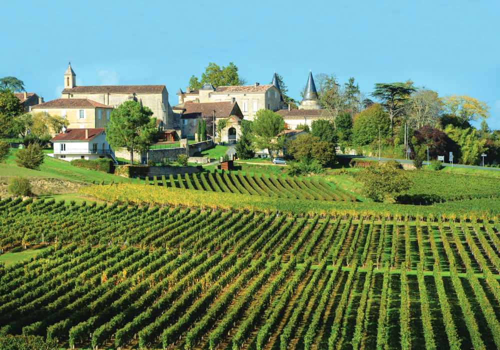 Vineyards of Saint Emilion (Photo by: FreeProd33)