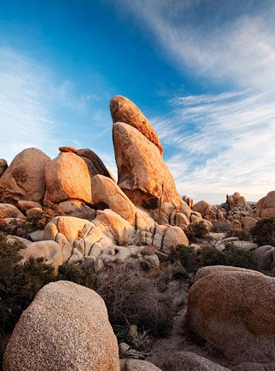 Joshua Tree National Park by Thomas J. Sebourn