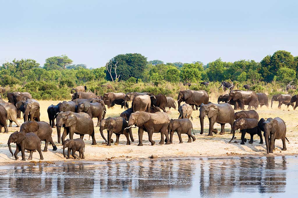 Hwange National Park, Zimbabwe