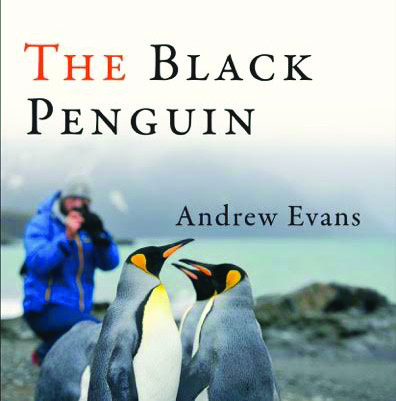 The Black Penguin