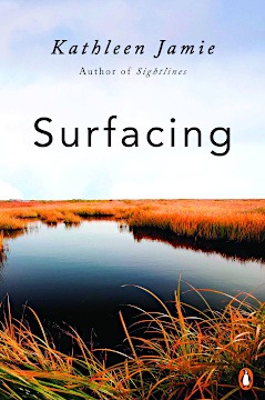 Surfacing Book Cover