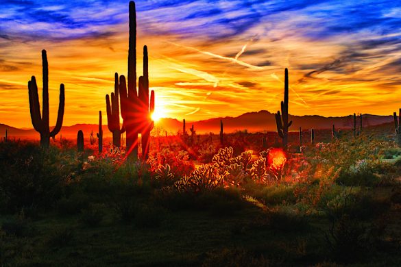 Valley of the Sun Arizona, Sonoran Desert