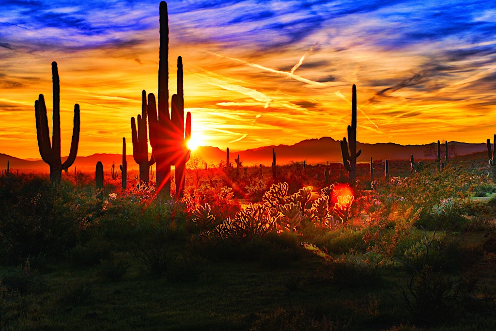 Valley of the Sun Arizona, Sonoran Desert