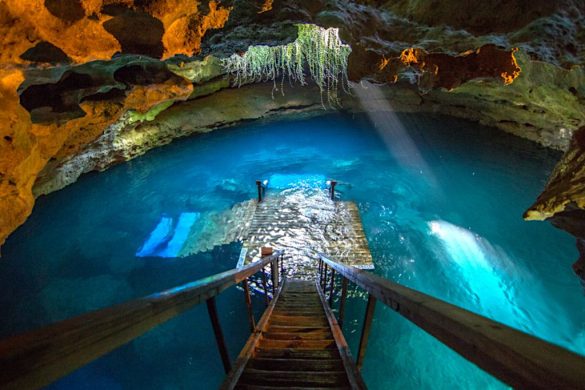 Florida Devils Den