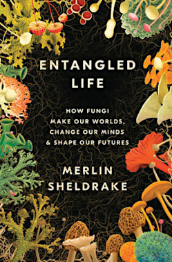 Entangled Life - Best Books of the Month, Best Gift Books for 2020