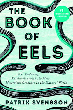 The Book of Eels- Best Books of the Month, Best Gift Books for 2020