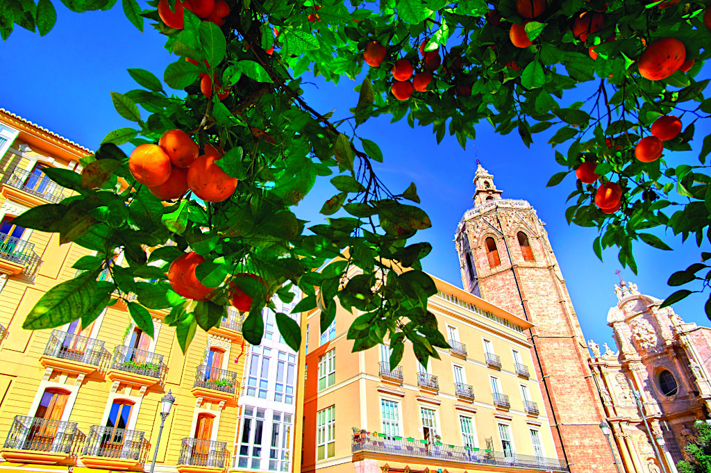 Plaza de la Reina - Valencia, Spain