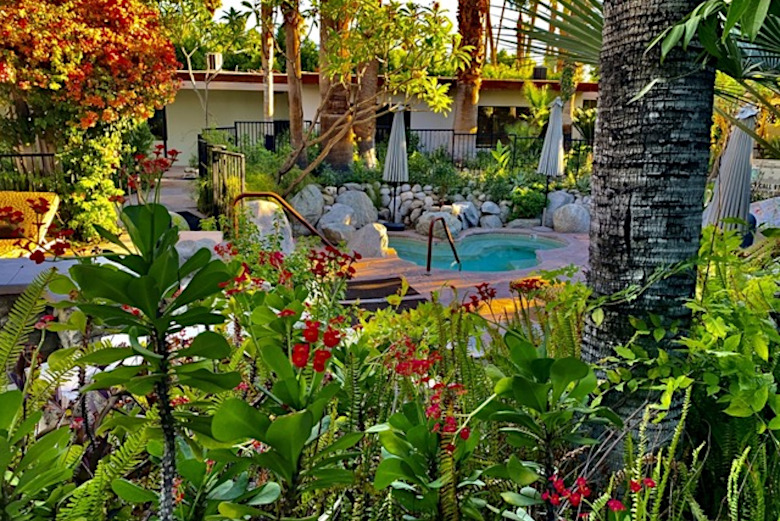 Vista Grande Resort Garden - Palm Springs Hotels