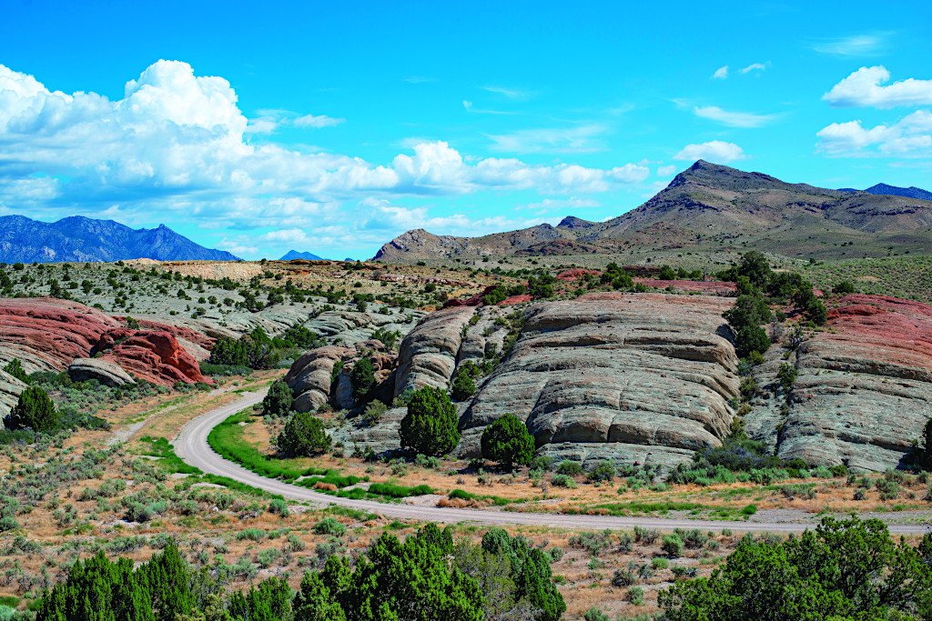 Out West Road Trip: Great Basin National Park in Ely, Utah