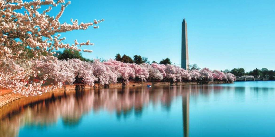 Springtime in Washington, DC (Photo: Felix Lipov)