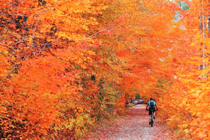 Autumn Bike Ride in Stowe (Photo by Songquan Deng)