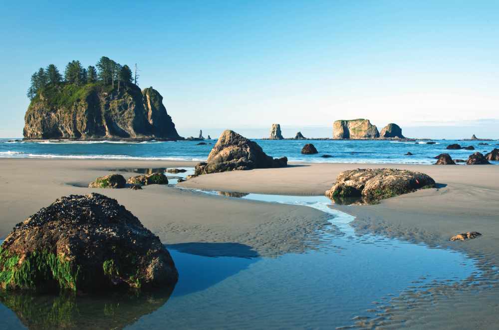 Second Beach in Olympic National Park (Photo by David B. Petersen)