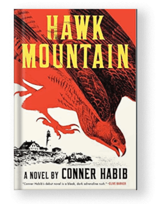 Hawk Mountain by Conner Habib