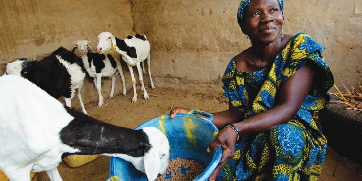 Heifer International Woman & Goats