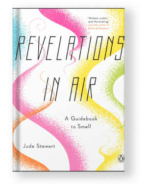 Revelations in Air by Jude Stewart