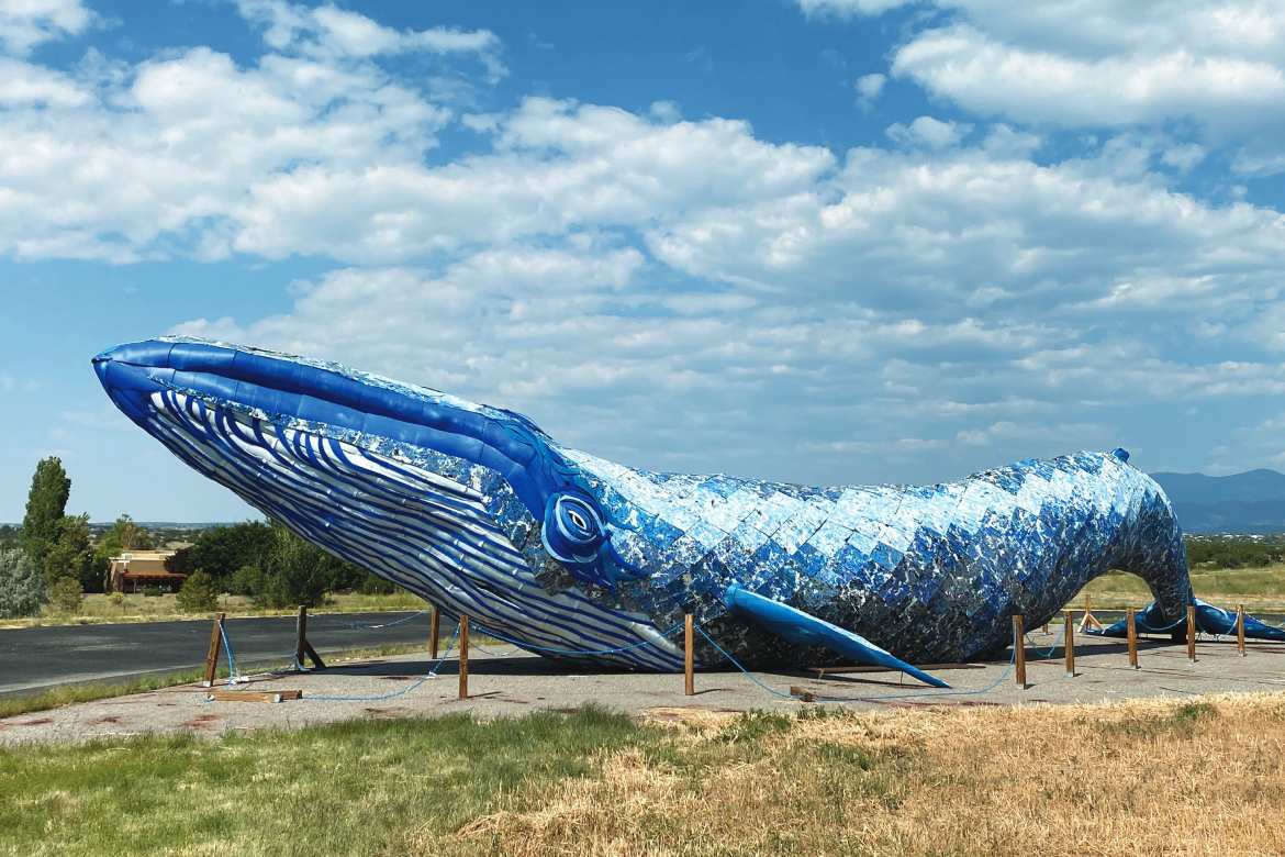 Ethyl the Whale at Santa Fe Community College (Photo by Jason A. Heidemann)