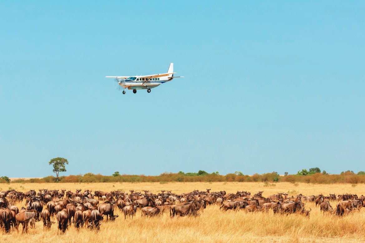 Plane flying over Wildebeest in the African Savannah (Photo by Kirill Dorofeev)