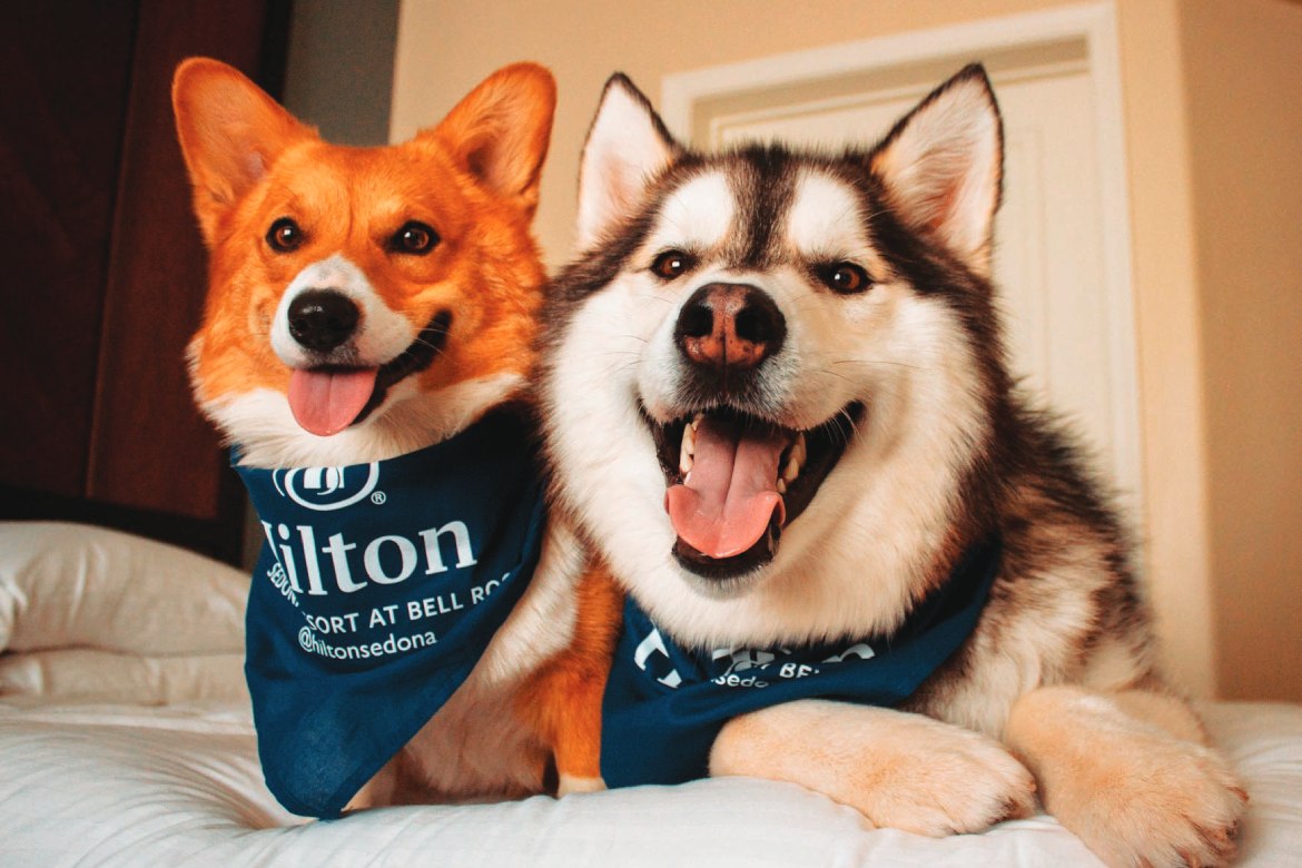 Hilton Good Boys (Photo by Hilton)