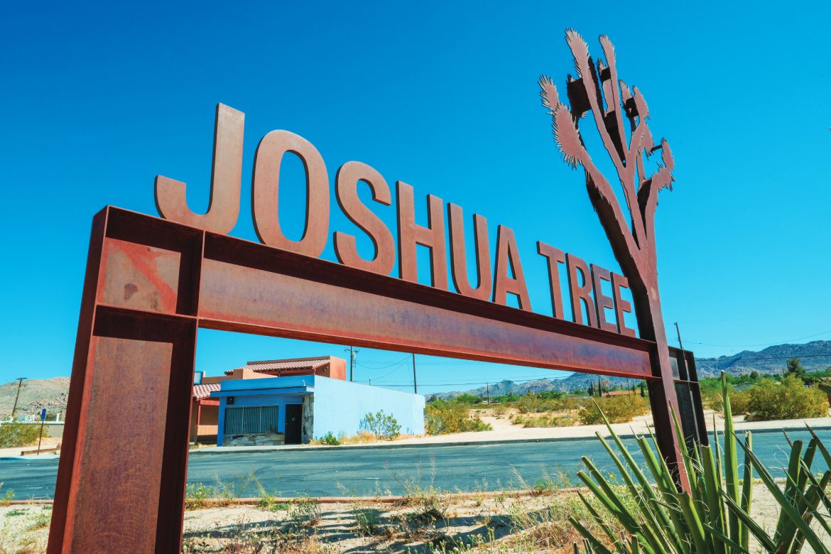 Welcome to Joshua Tree (Photo by Jason Busa)