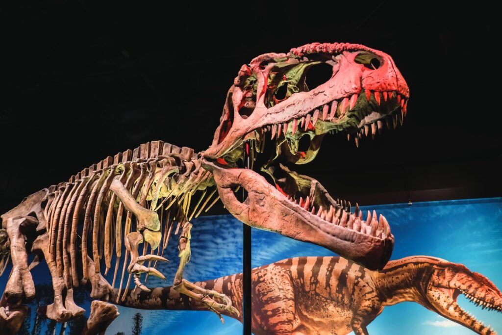 Giganotosaurus at the Perot Museum of Nature and Science (Photo by William Cushman)