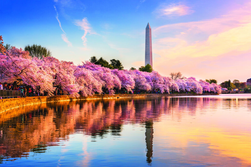 Romantic Washington, DC in Springtime (Photo by Sean Pavone)