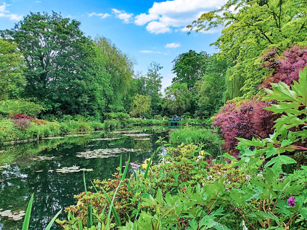 Water lily pond at Monet_s Garden in Giverny (Photo by C. Ludgate)