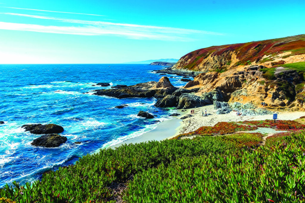 Bodega Bay Beach (Photo by Gilberto Mesquita)