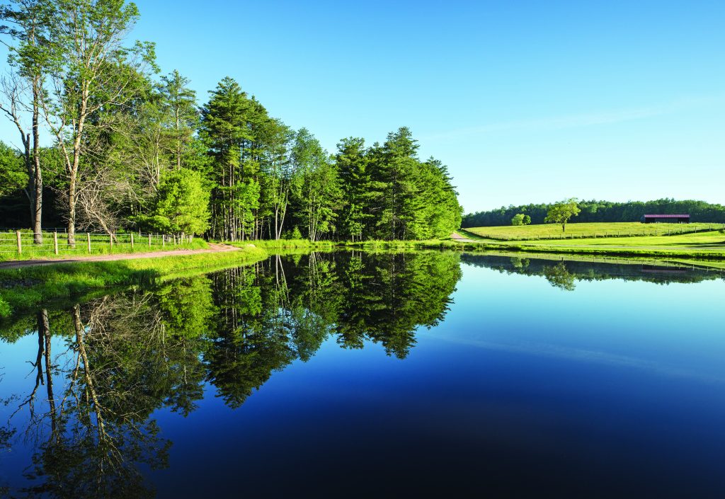 Landscape at The Chatwal Lodge (Photo by Michael Warwic)