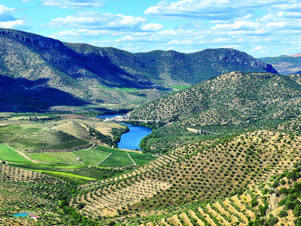 Duoro river Wine Country (Photo by Emily Pennington)