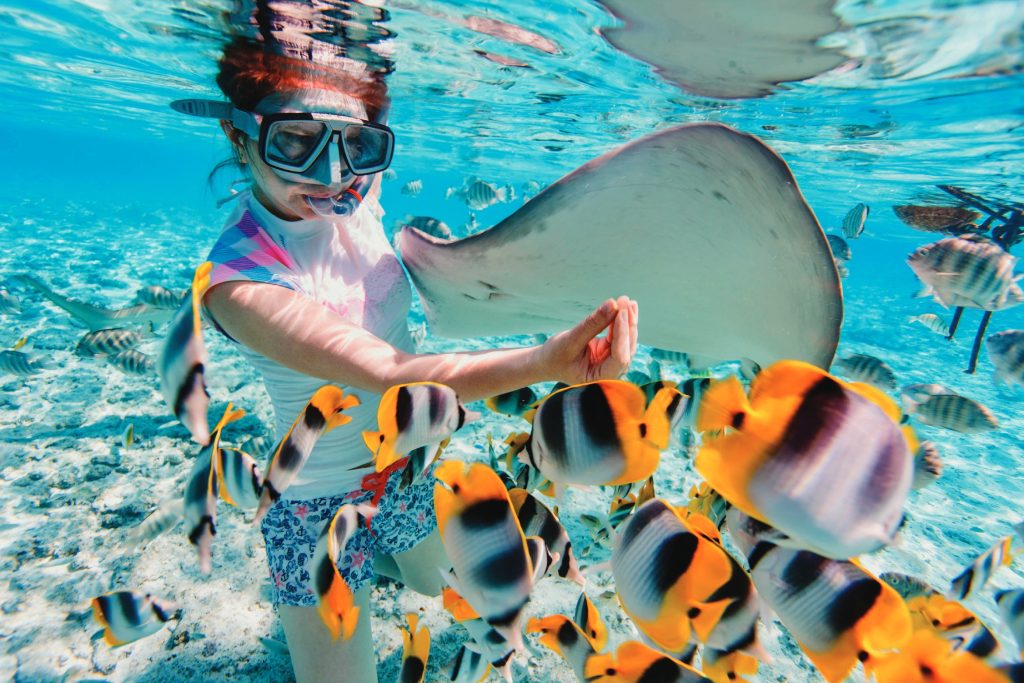 Snorkeling in Taha’a (Photo by BlueOrange Studio)
