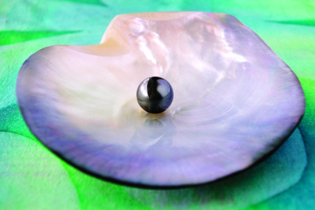 Tahitian Black Pearl (Photo by ChameleonsEye)